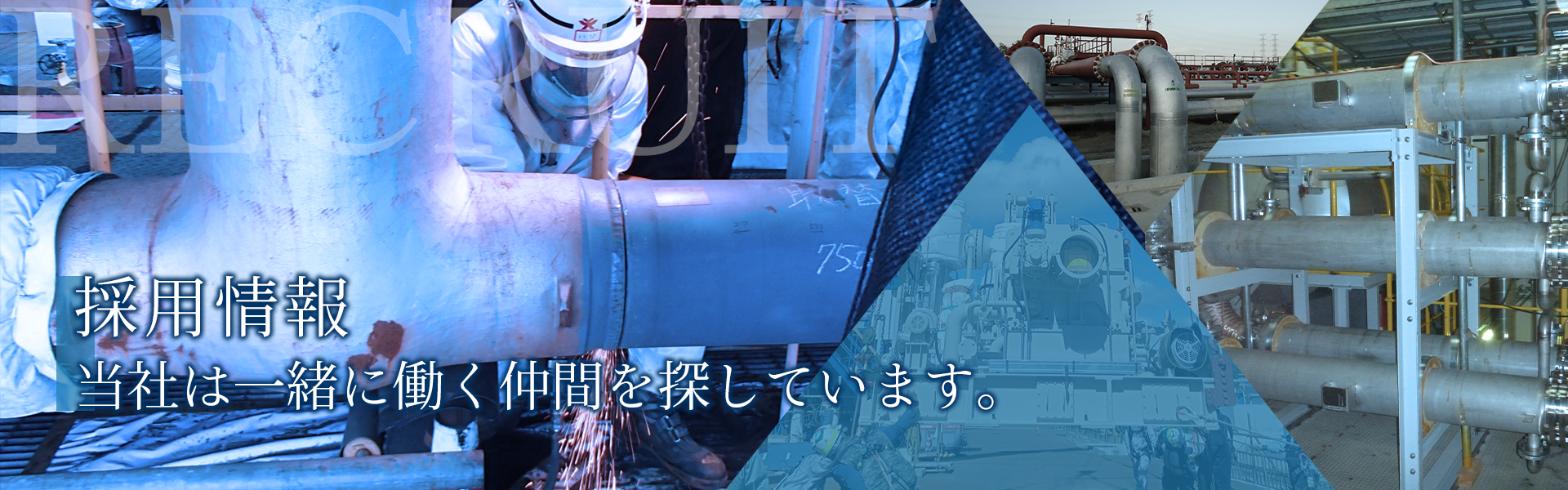 採用情報